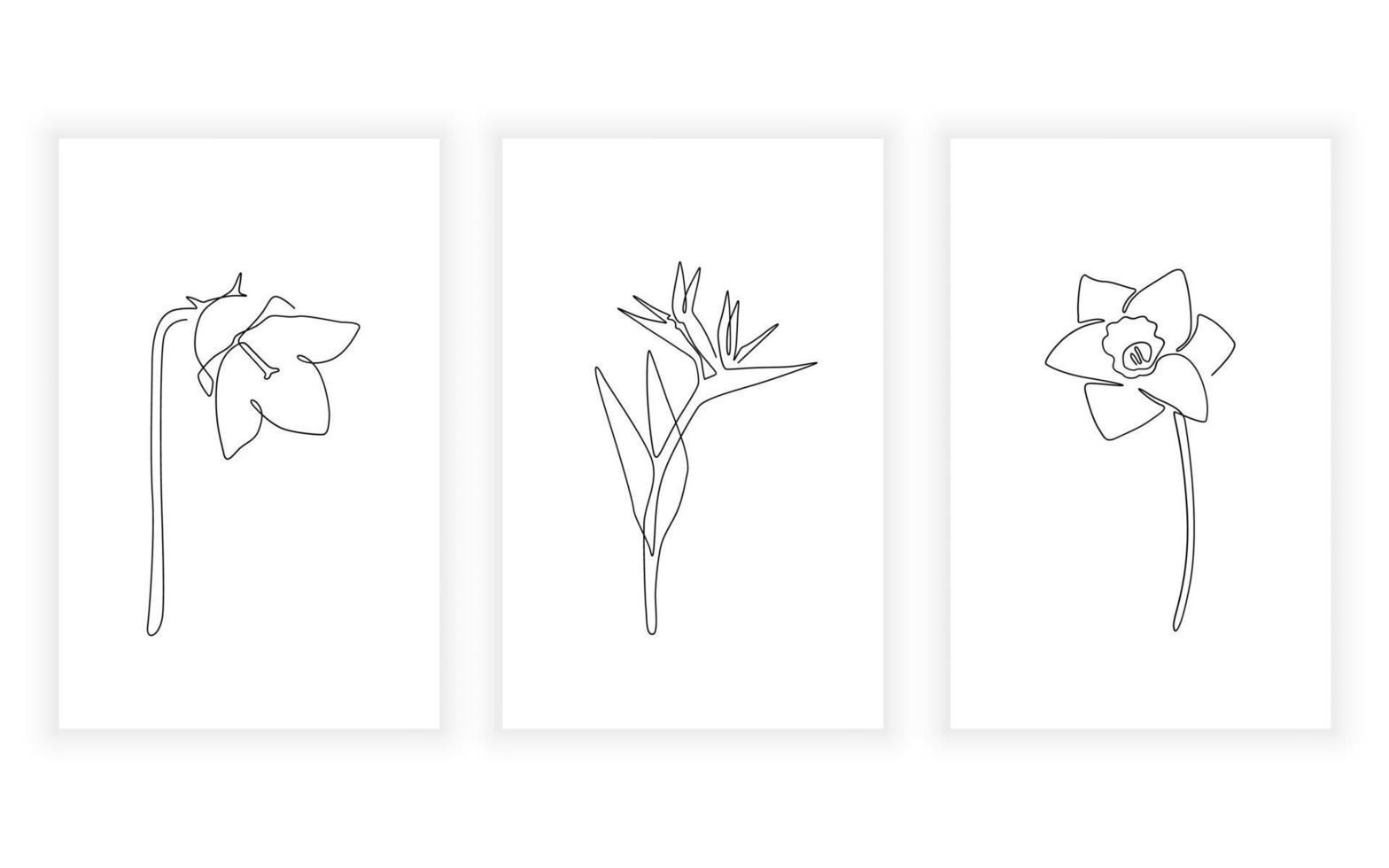 Vector modern minimalism of flower line art drawning illustration bluebell bird of paradise daffodil flower