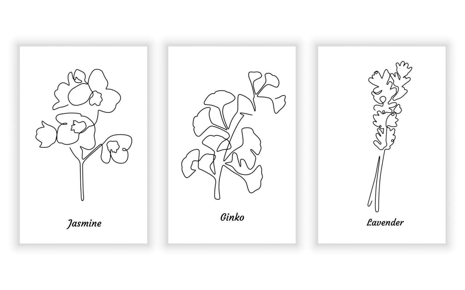 Elegant flower in one line art style. Continuous line art in minimalistic for logo and printable design. vector illustration. jasmine ginko and lavender flower