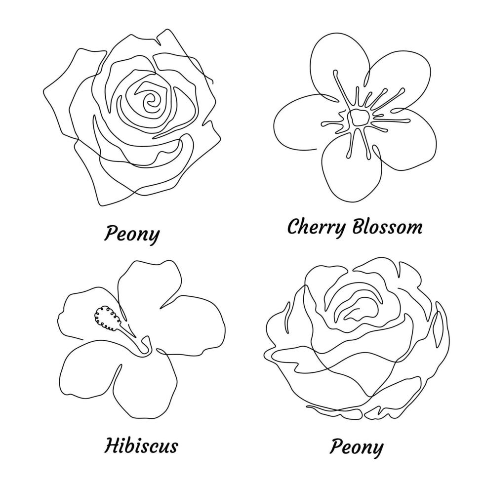 Set of flowers on white background. One line drawing style. elegant flower for printable design. peony, cherry blossom, hibiscus, peony flower. vector