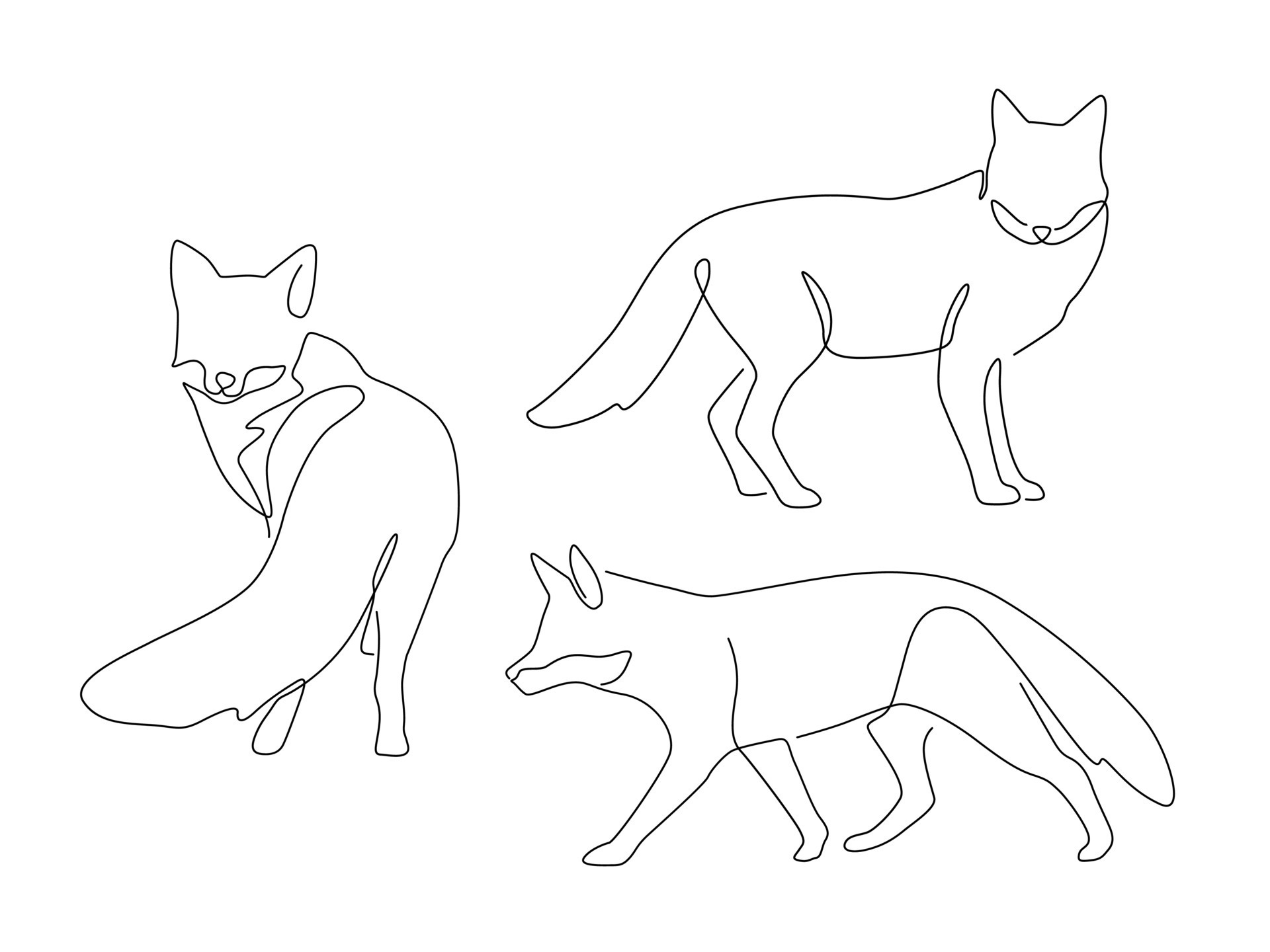 Fox sale line drawing