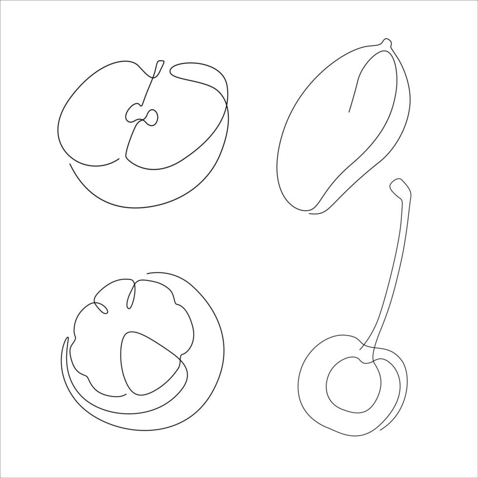 set of fruit line art and continuous line concept. apple, mango, mangosteen, cherry vector