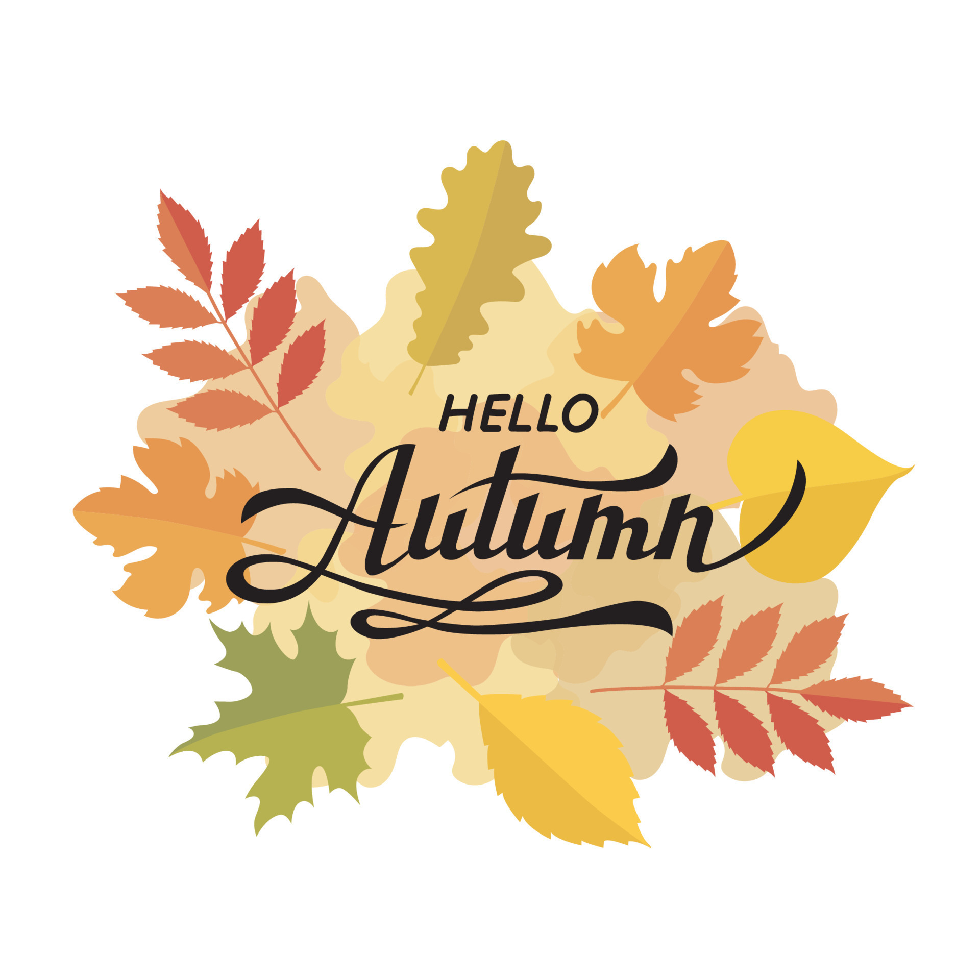 Lettering autumn banner vector illustration, Autumn template barrel ...