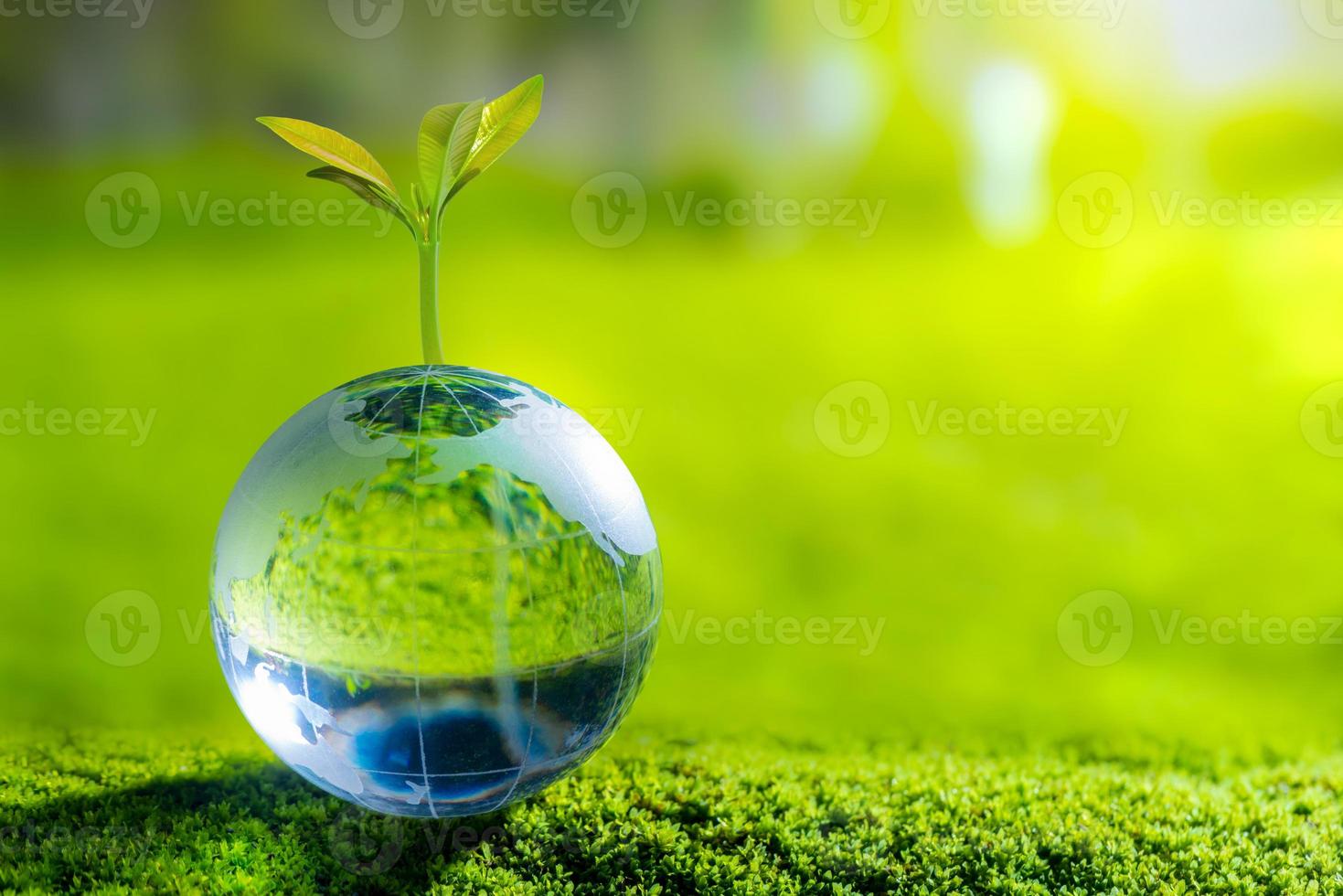 3D illustration Renewable energy concept Earth Day or environmental protection Protect the forests that grow on the ground and help save the planet. photo