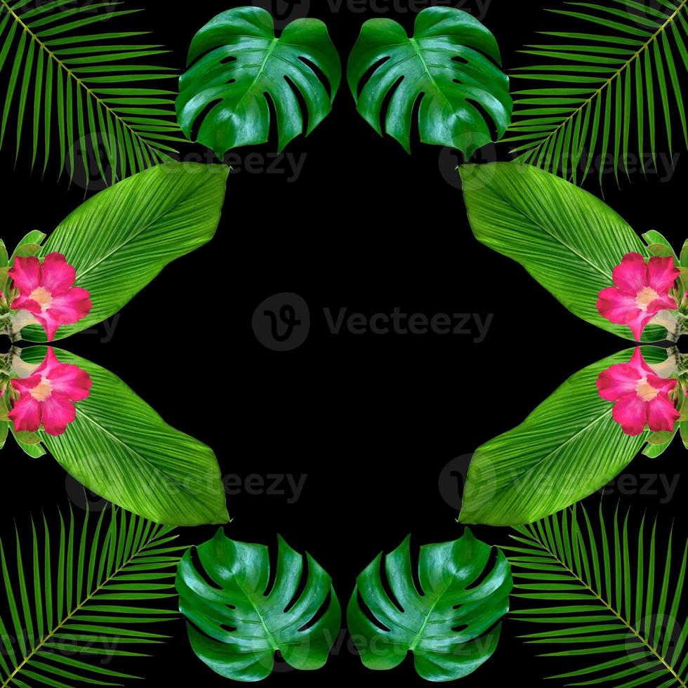 patrón de hojas de monstera verde para el concepto de naturaleza, fondo de textura de hoja tropical foto