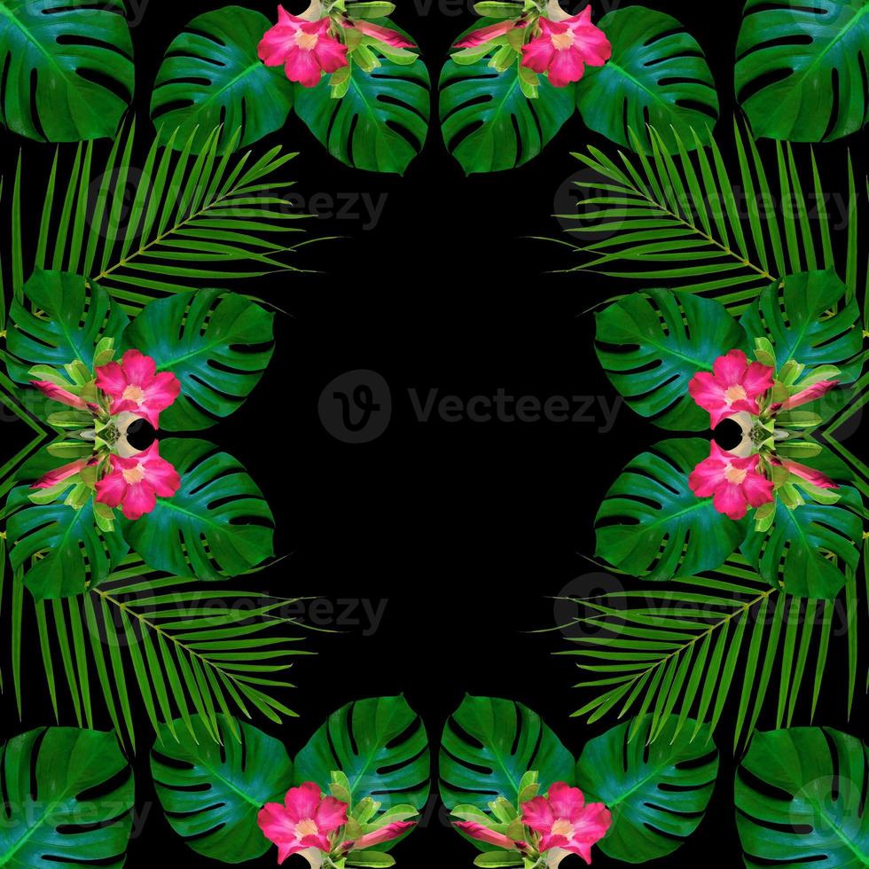 Green monstera leaves pattern for nature concept,tropical leaf textured background photo