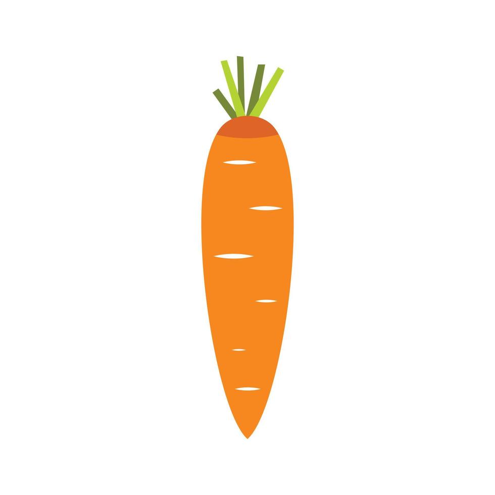 Carrot icon in flat style vector