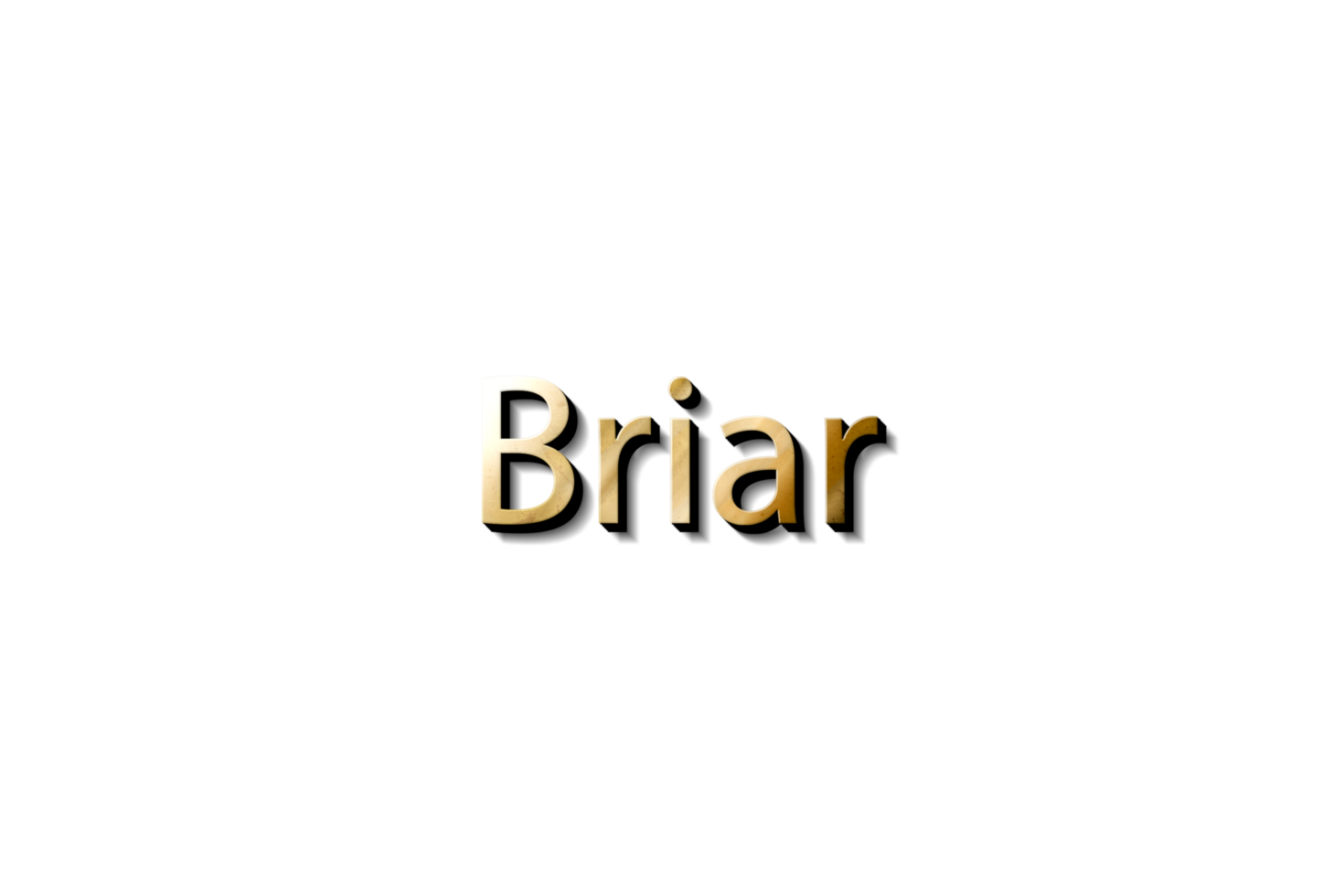 BRIAR 3D MOCKUP 14575625 PNG