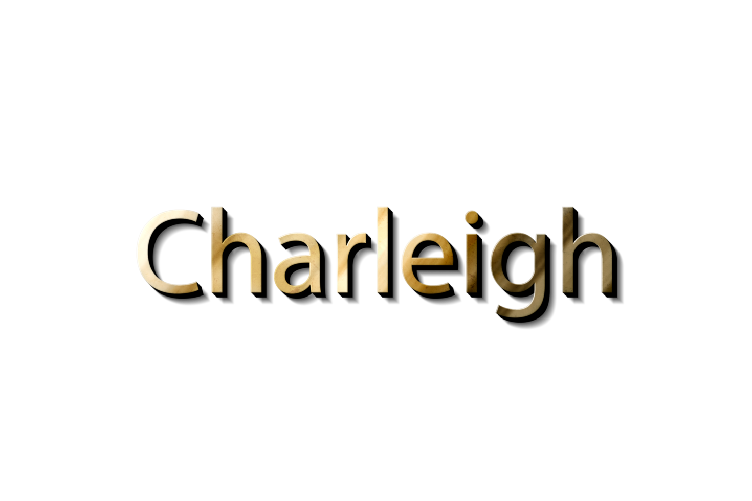 CHARLEIGH 3D MOCKUP png