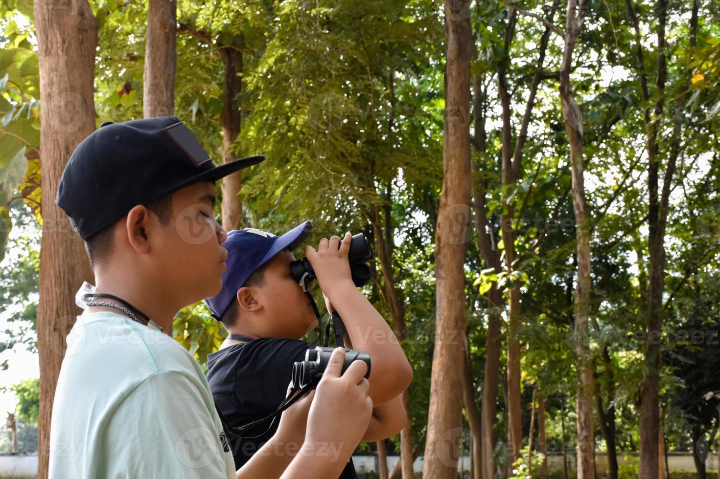 Portrait Asian boys using binoculars to watch birds in tropical forest with his friends, idea for learning creatures and wildlife animals outside the classroom, soft focus. photo