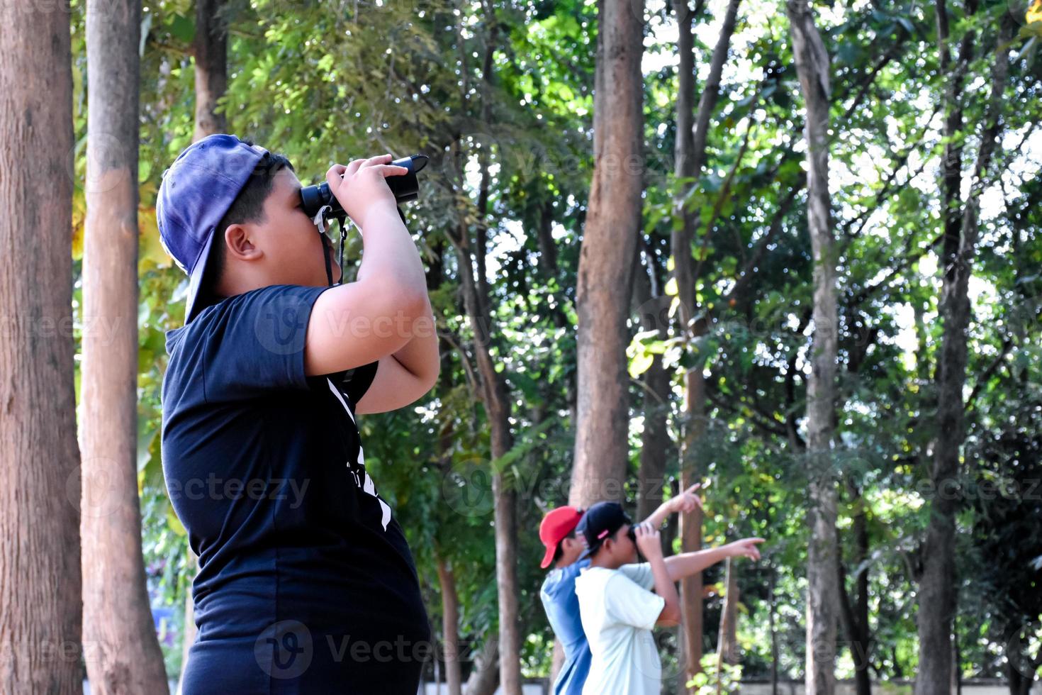 Portrait Asian boys using binoculars to watch birds in tropical forest with his friends, idea for learning creatures and wildlife animals outside the classroom, soft focus. photo