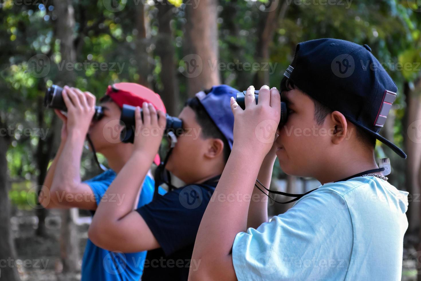 Portrait Asian boys using binoculars to watch birds in tropical forest with his friends, idea for learning creatures and wildlife animals outside the classroom, soft focus. photo