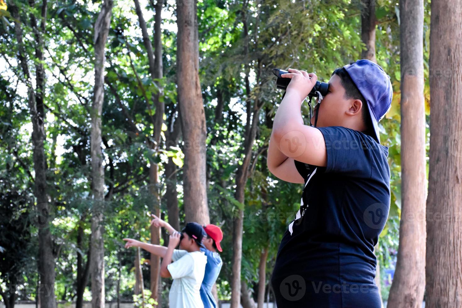 Portrait Asian boys using binoculars to watch birds in tropical forest with his friends, idea for learning creatures and wildlife animals outside the classroom, soft focus. photo