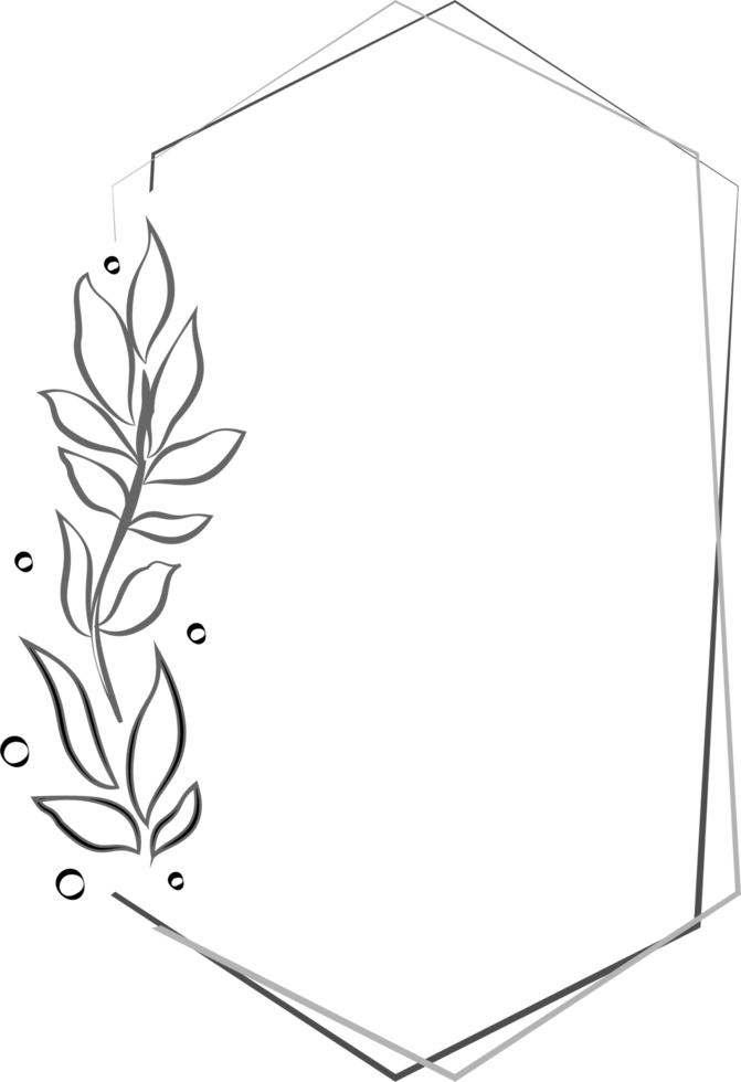 Hexagonal frame decorated with some plant leaves it is used in designs clip art and templates png
