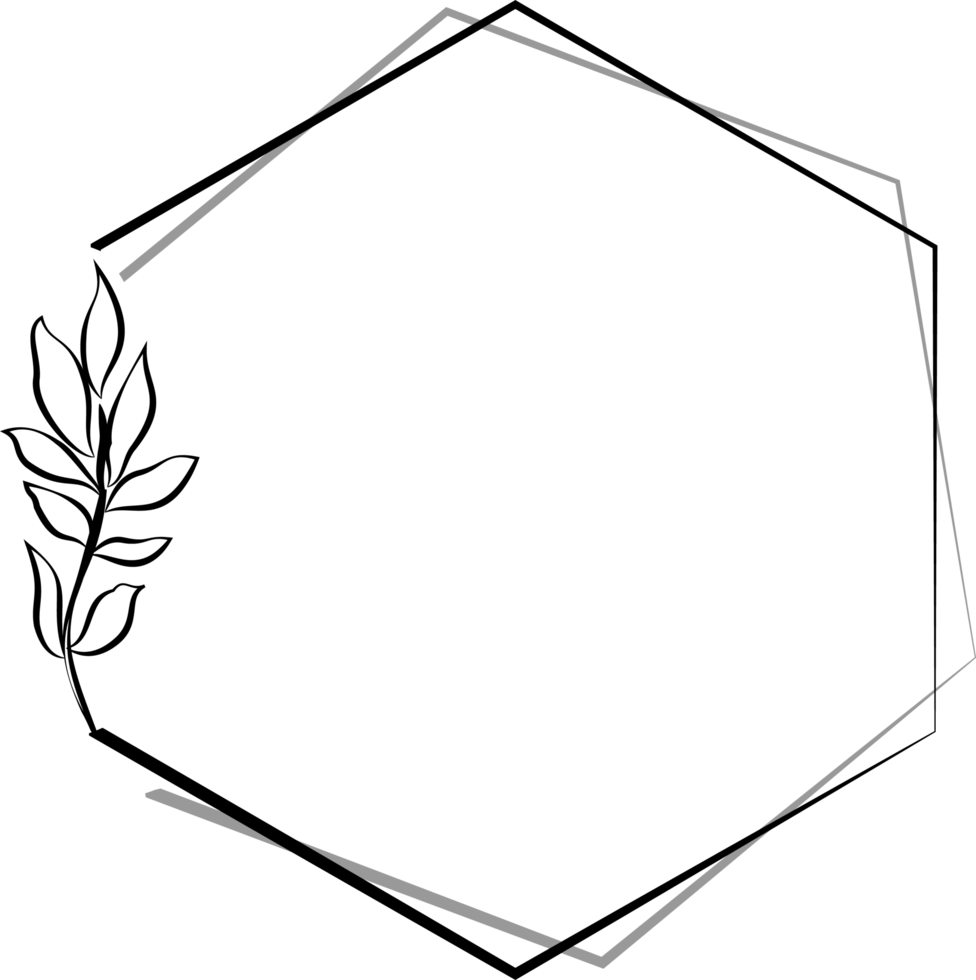 esagonale telaio decorato con alcuni pianta le foglie esso è Usato nel disegni clip arte e modelli png