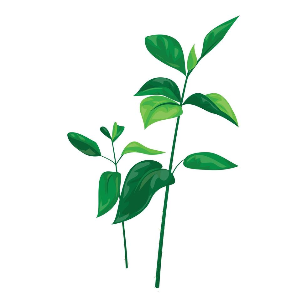 Garden soybean plant icon, cartoon style vector