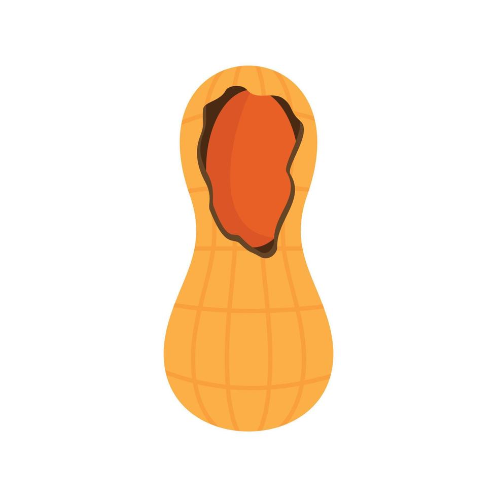 Crack peanut icon, flat style vector