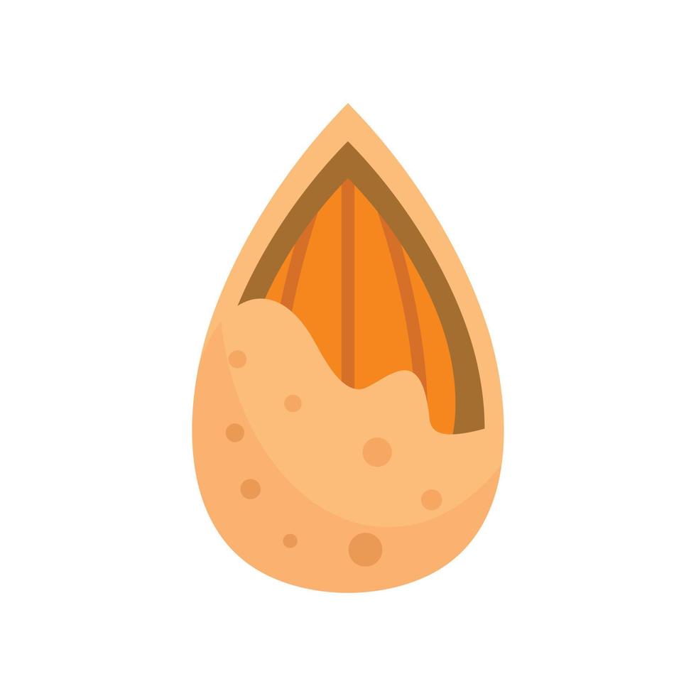 Crack almond icon, flat style vector