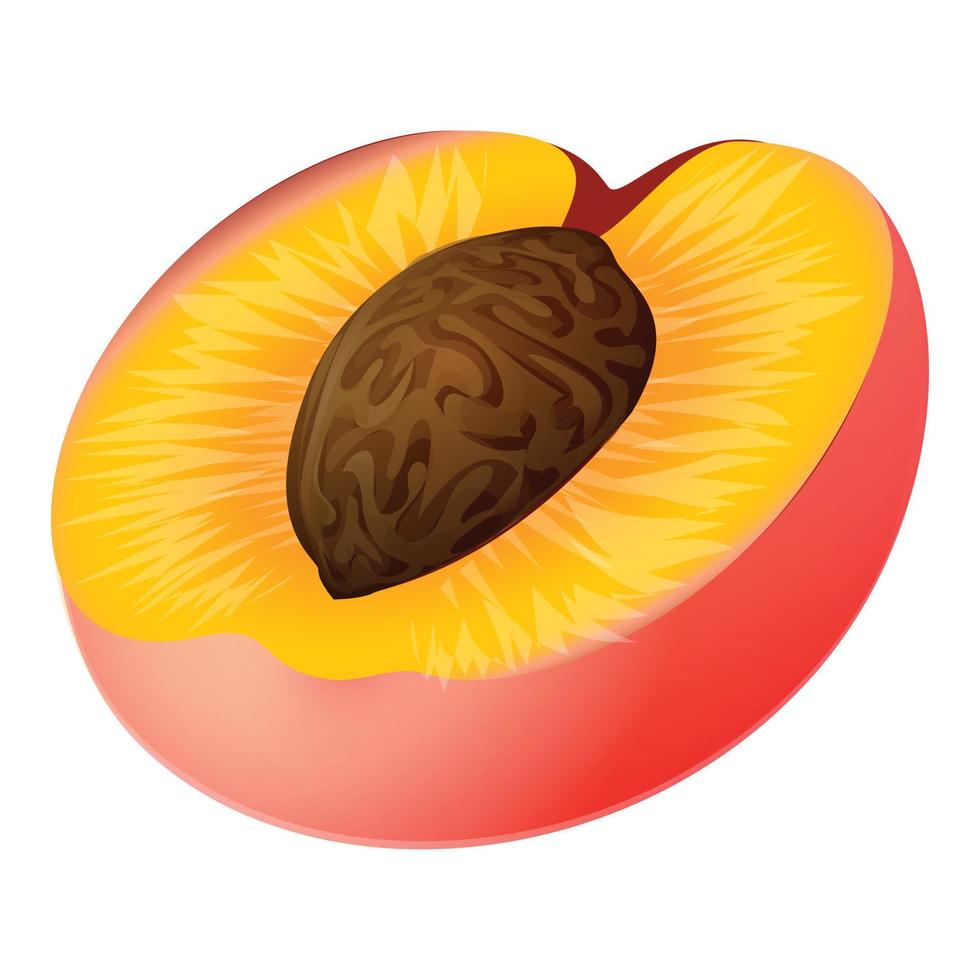Half peach icon, cartoon style vector