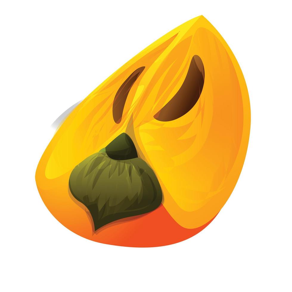 Persimmon diet icon, cartoon style vector