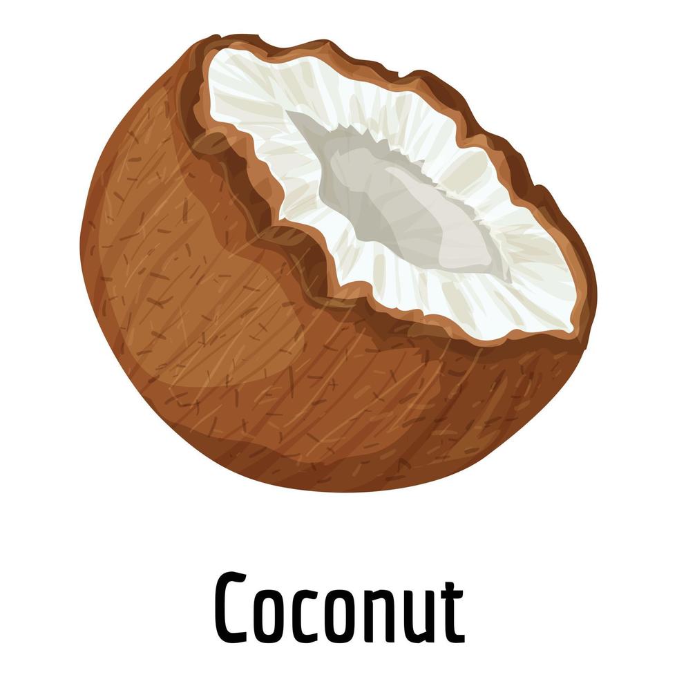 Coconut icon, cartoon style vector