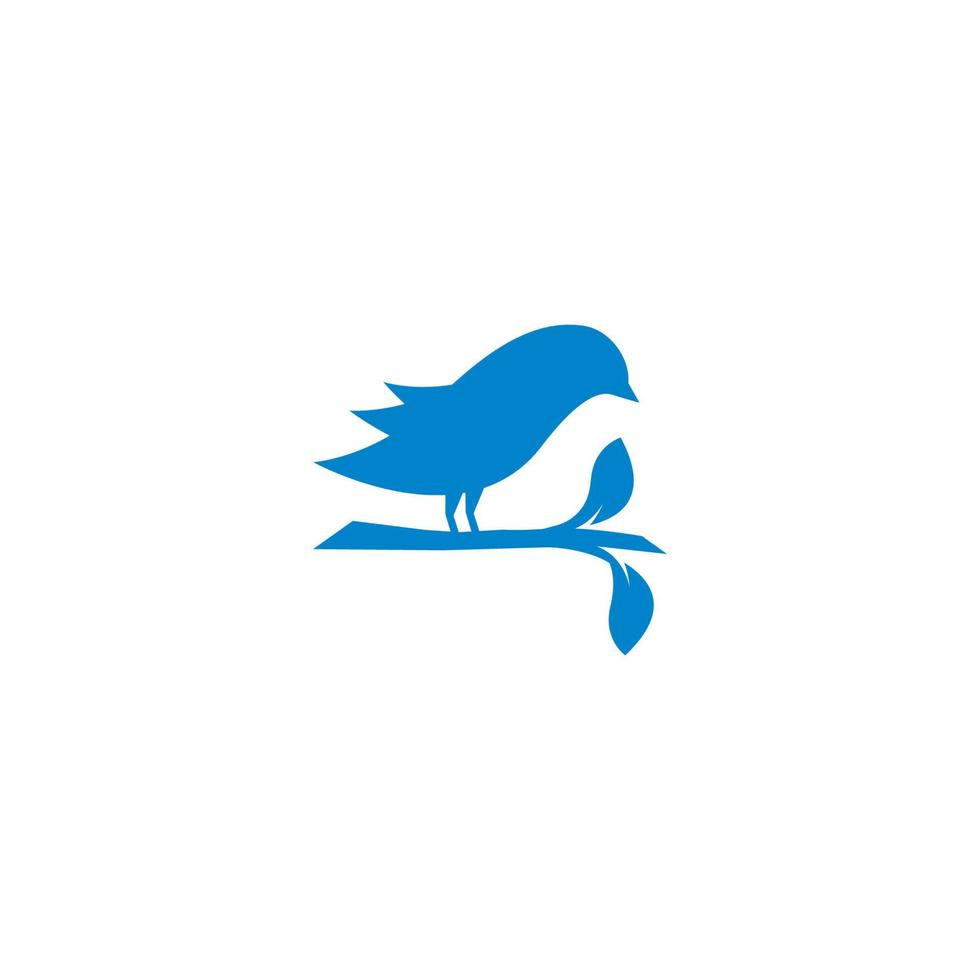 Bird logo images vector