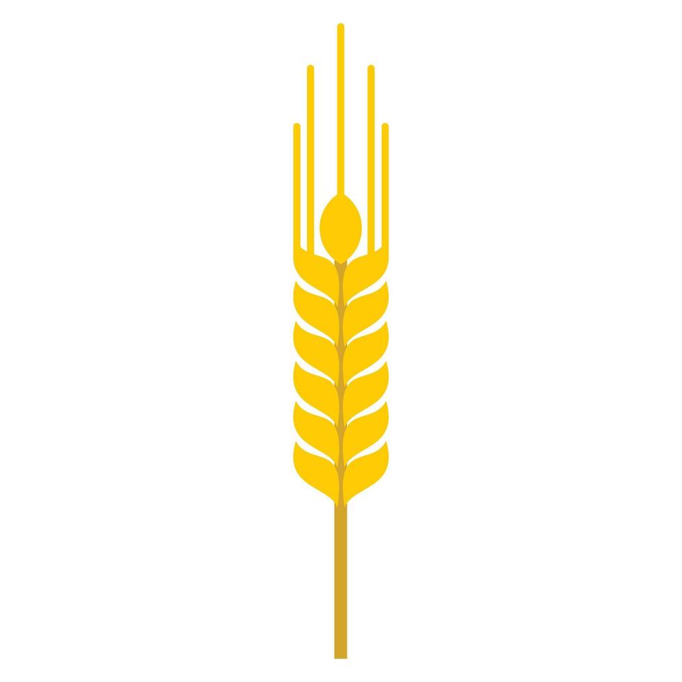 Ear of barley icon, flat style vector