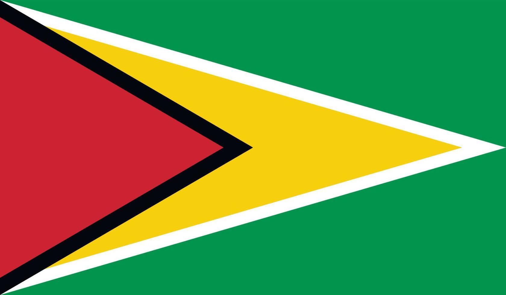 Guyana flag image vector