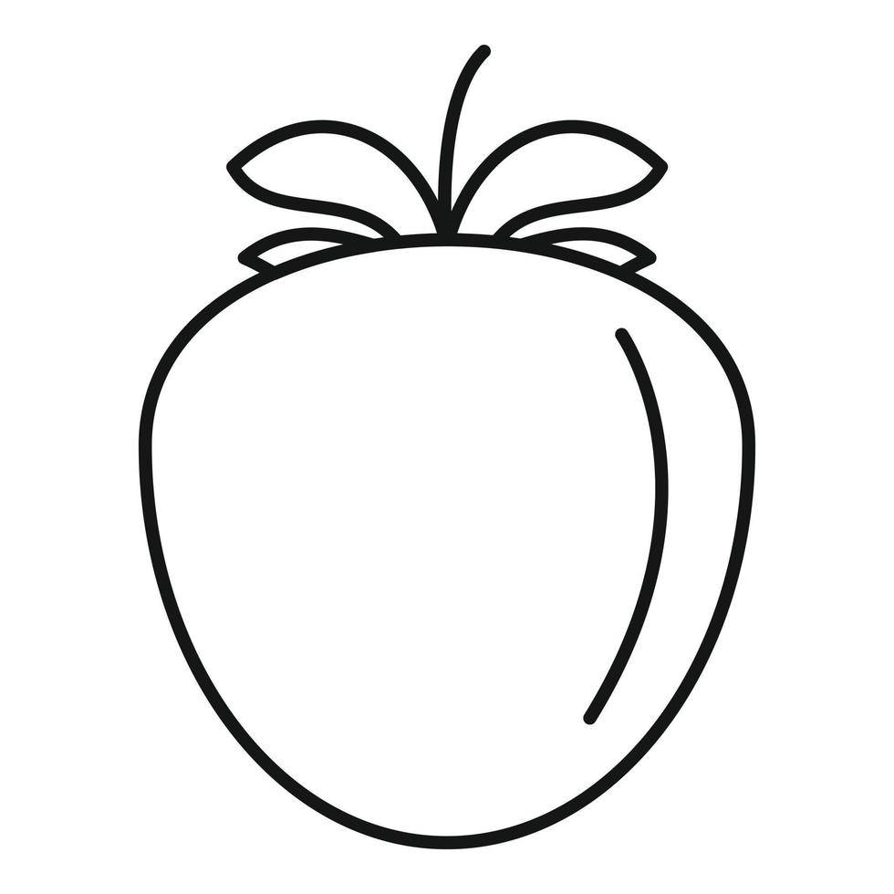 Eco persimmon icon, outline style vector