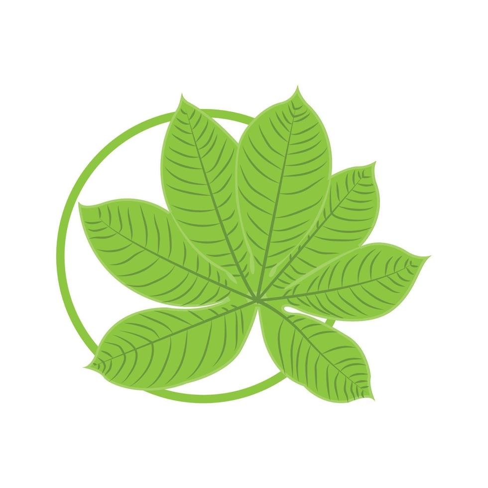 Leaf Logo Green Plant Design Leaves Of Trees Product Brand Template Illustration vector