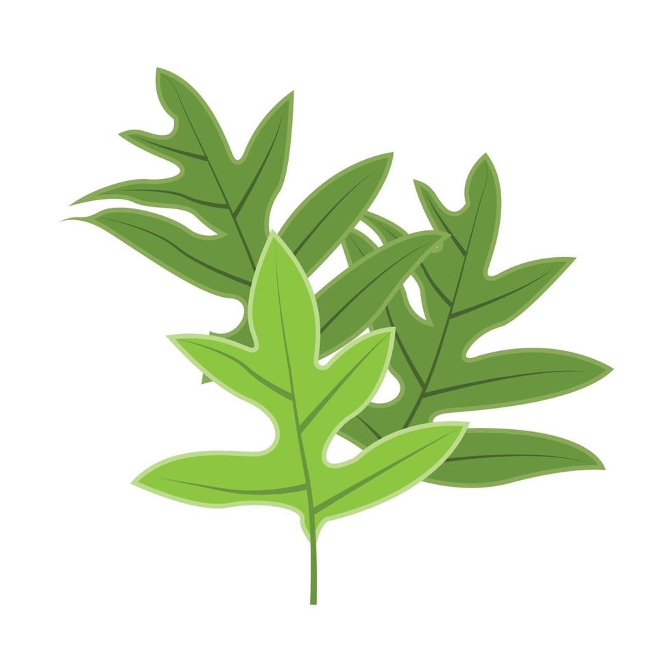 Leaf Logo Green Plant Design Leaves Of Trees Product Brand Template Illustration vector