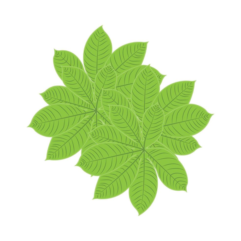 Leaf Logo Green Plant Design Leaves Of Trees Product Brand Template Illustration vector