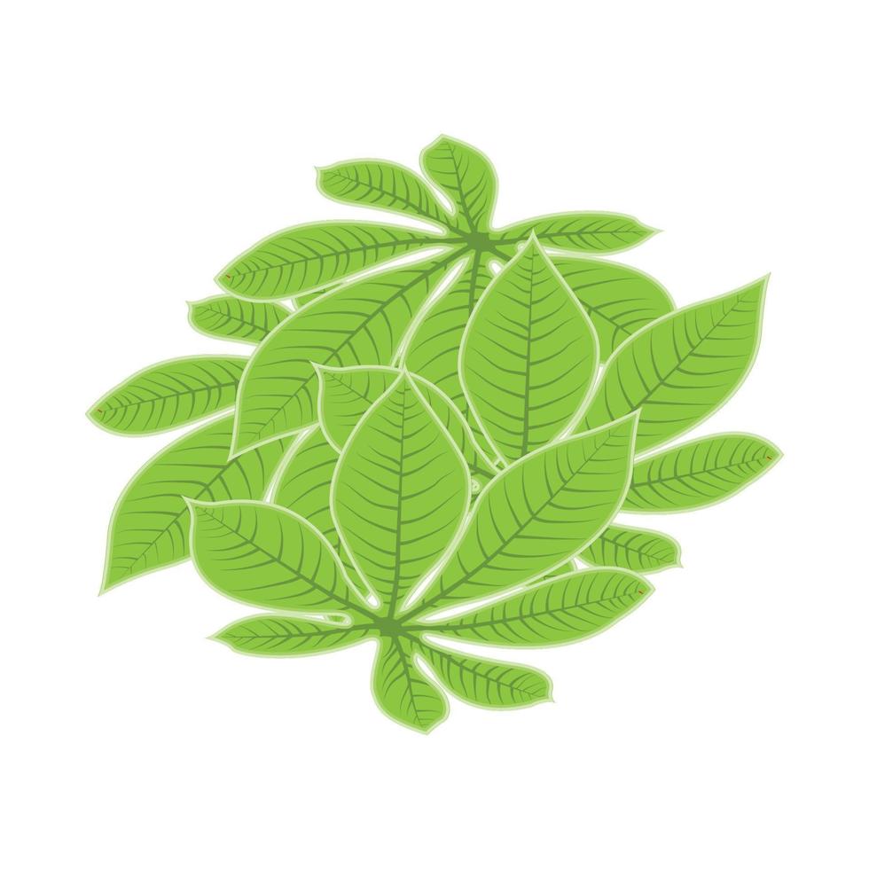 Leaf Logo Green Plant Design Leaves Of Trees Product Brand Template Illustration vector