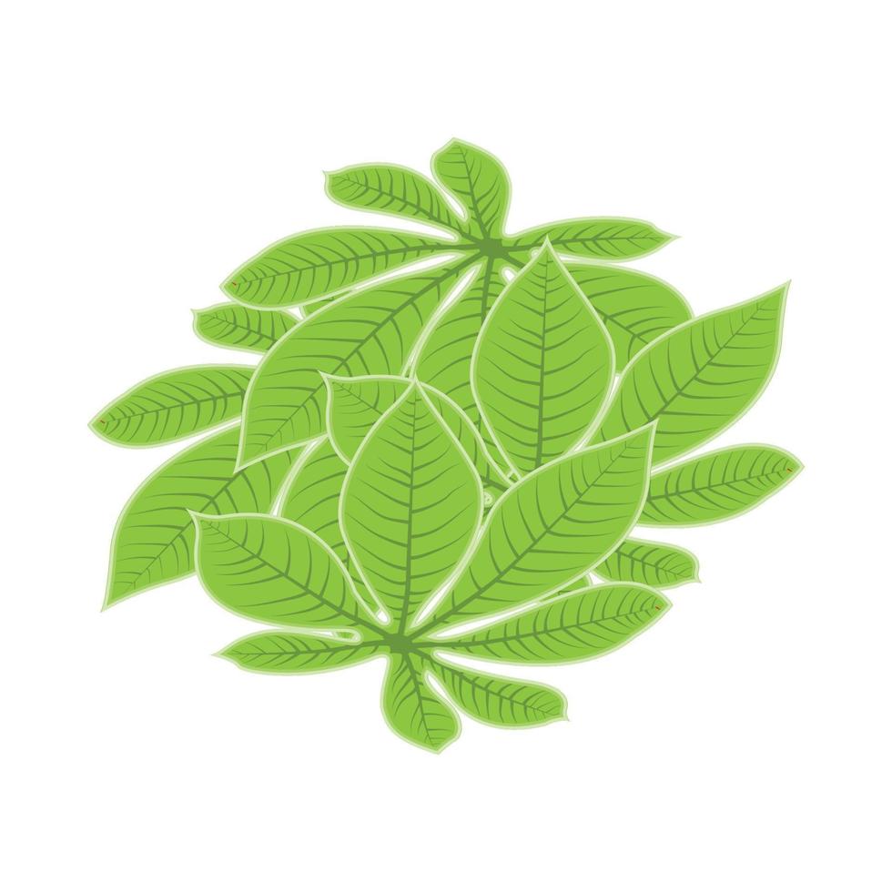 logotipo de hoja diseño de planta verde hojas de árboles ilustración de plantilla de marca de producto vector