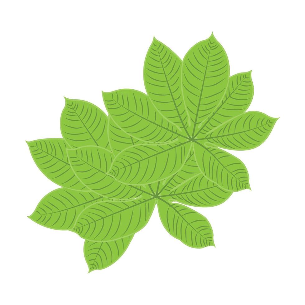 Leaf Logo Green Plant Design Leaves Of Trees Product Brand Template Illustration vector