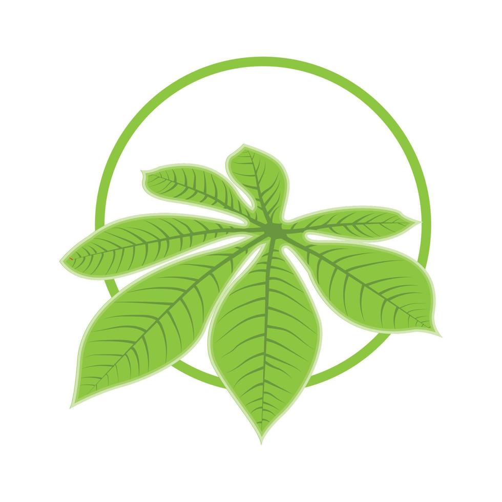 Leaf Logo Green Plant Design Leaves Of Trees Product Brand Template Illustration vector