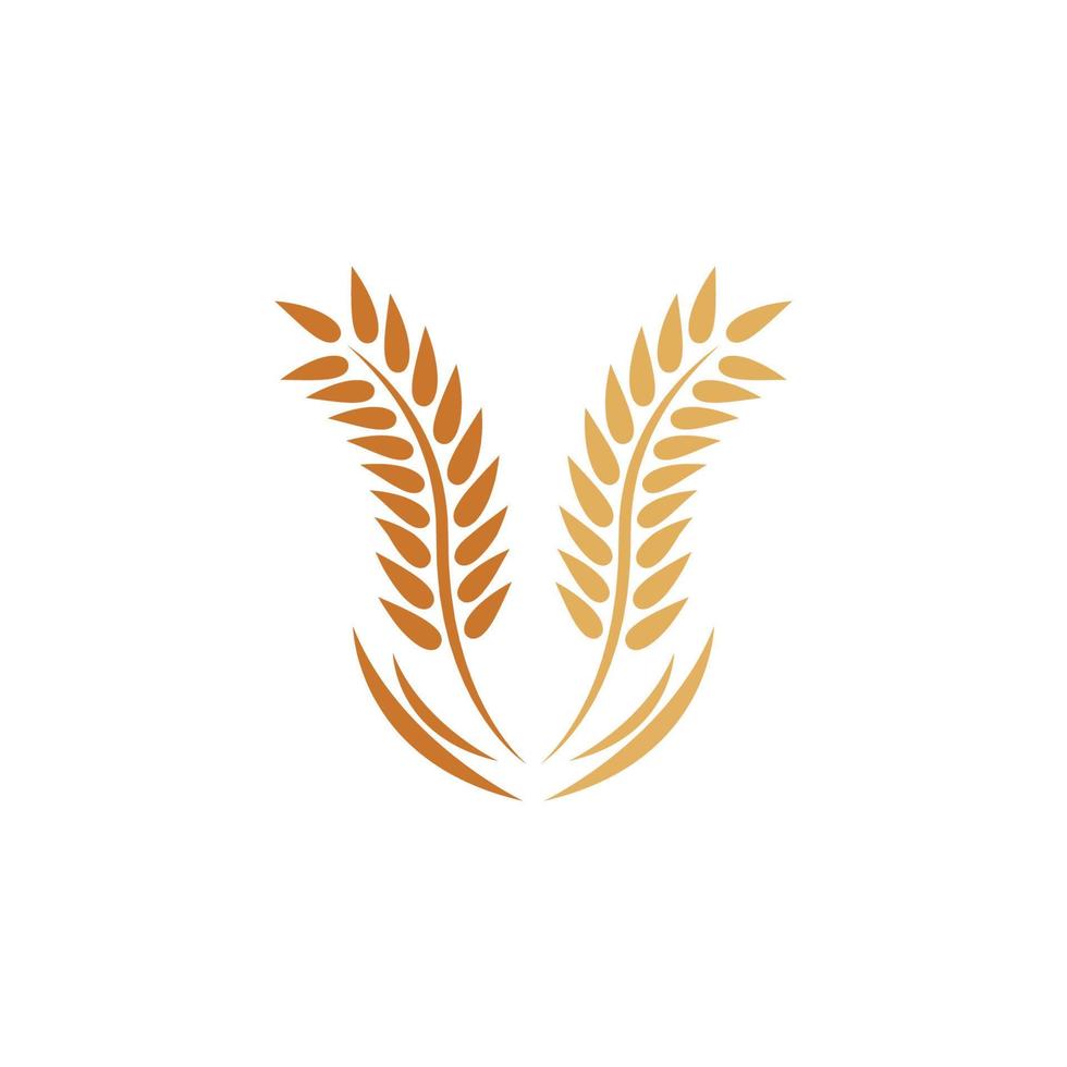 Wheat logo vector icon illustration