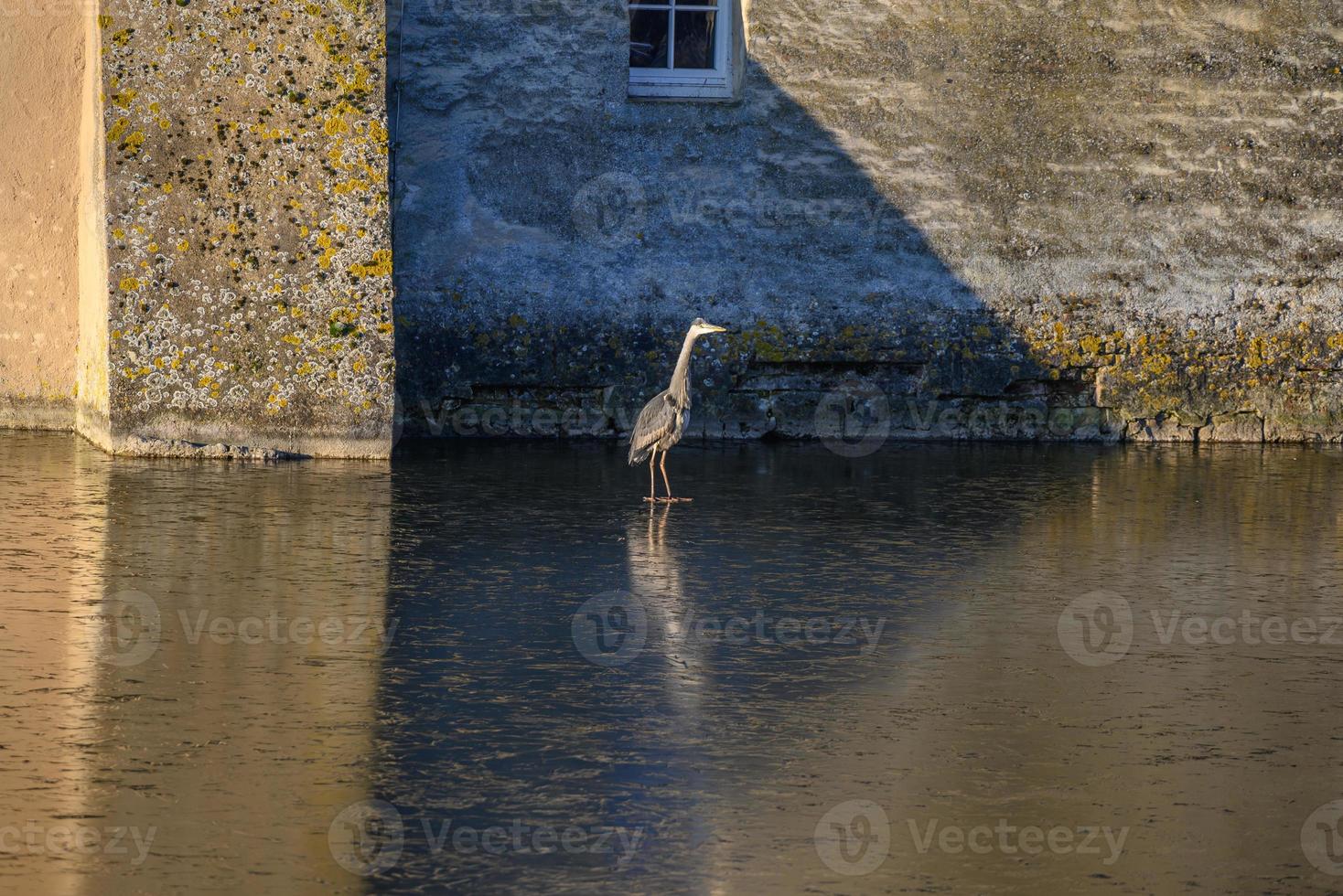 autumn at a castle in westphalia photo