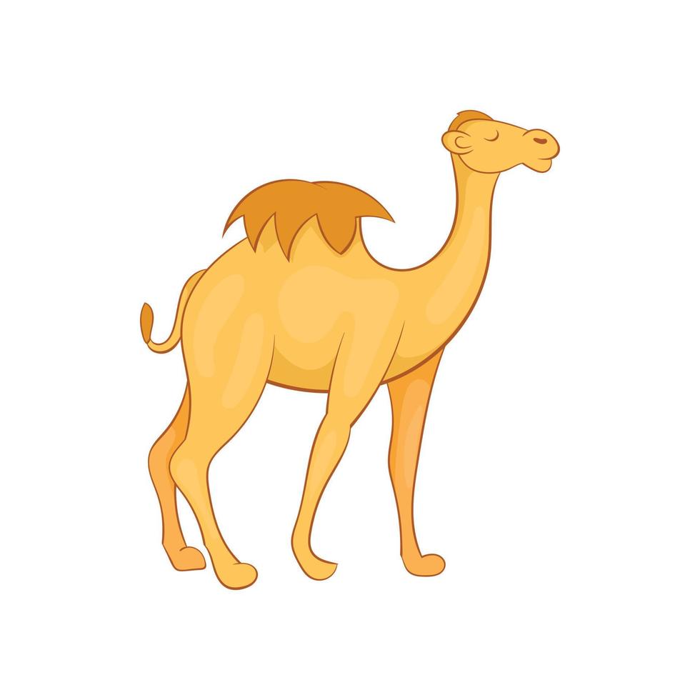 Camel icon, cartoon style vector