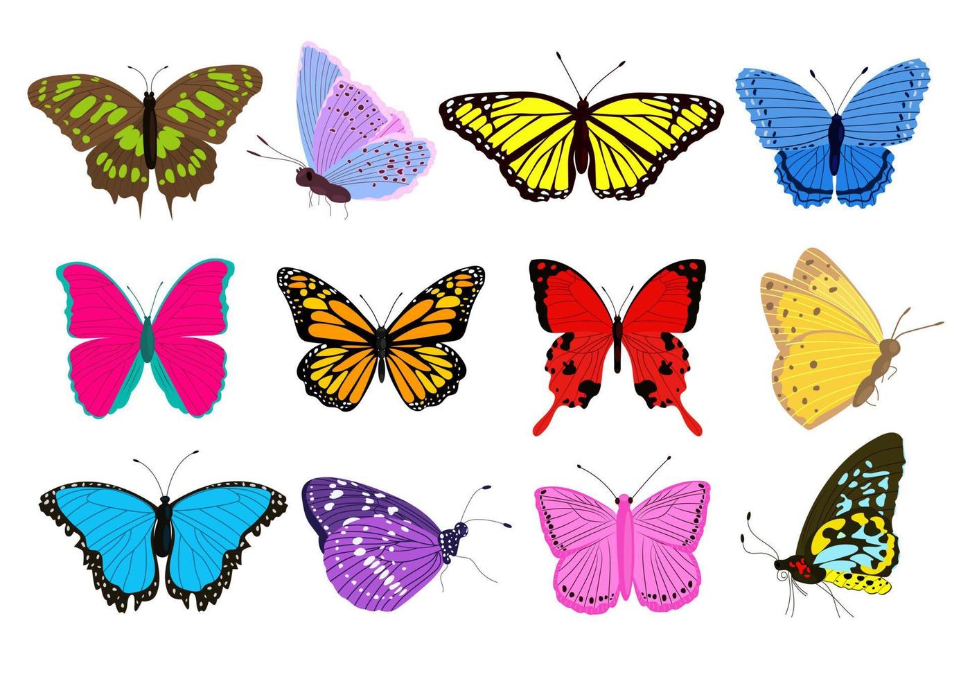 Big collection of colorful butterflies different shapes and colors. Exotic tropical insects. vector