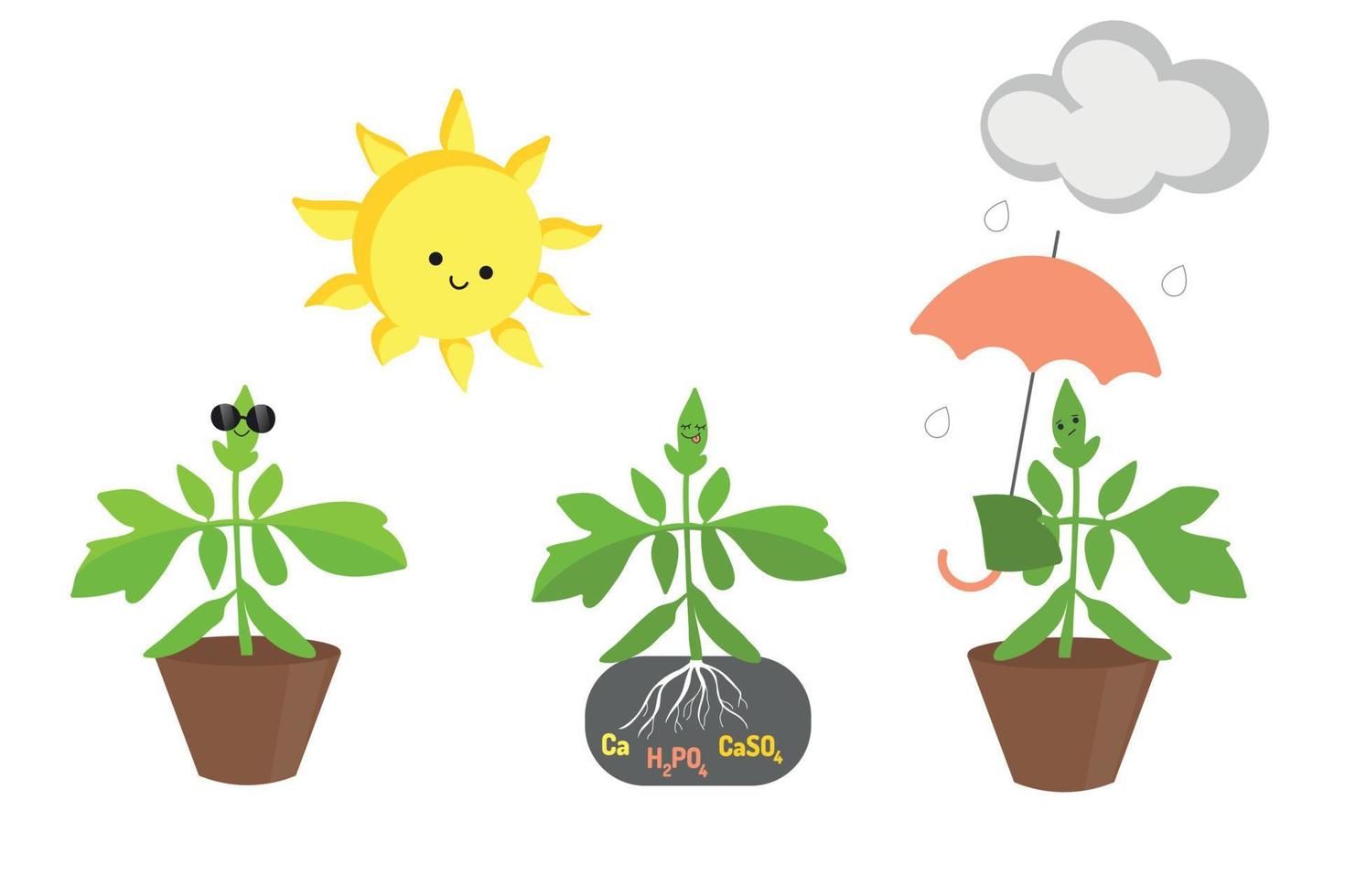 Funny tomato seedlings under the sun and a gray cloud. Vector illustration on a white background