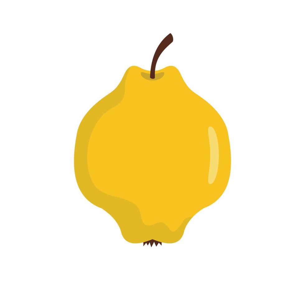 Quince icon, flat style vector