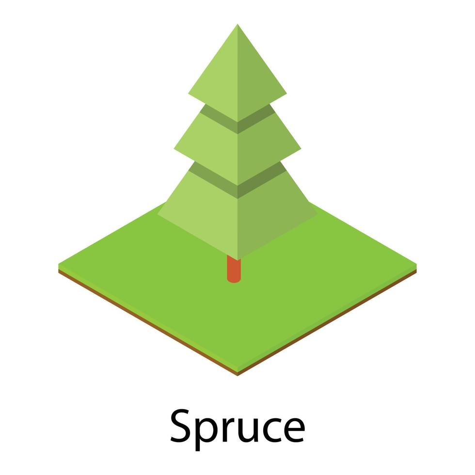 Spruce tree icon, isometric style vector