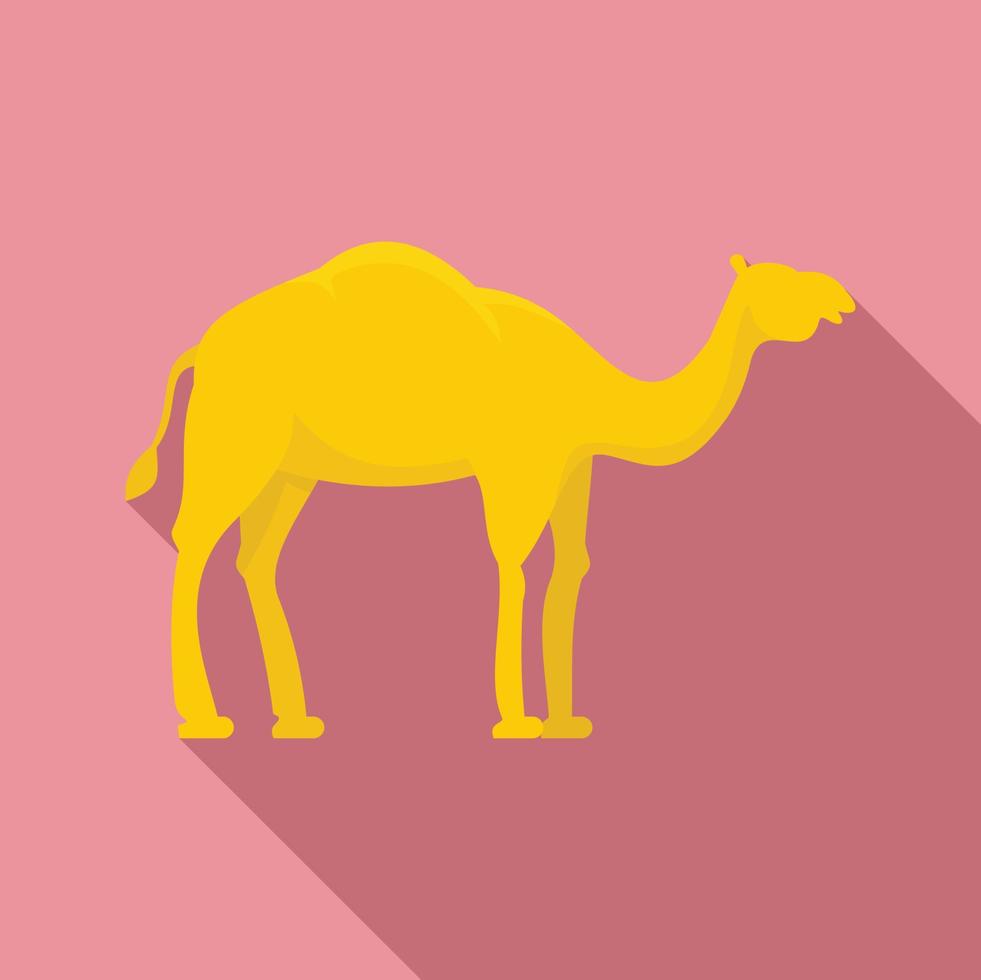 Egypt camel icon, flat style vector