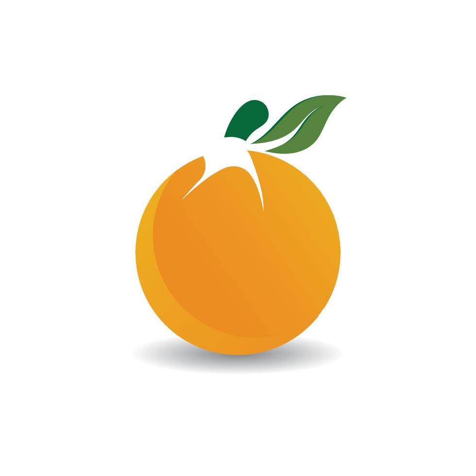 Orange logo icon vector illustration