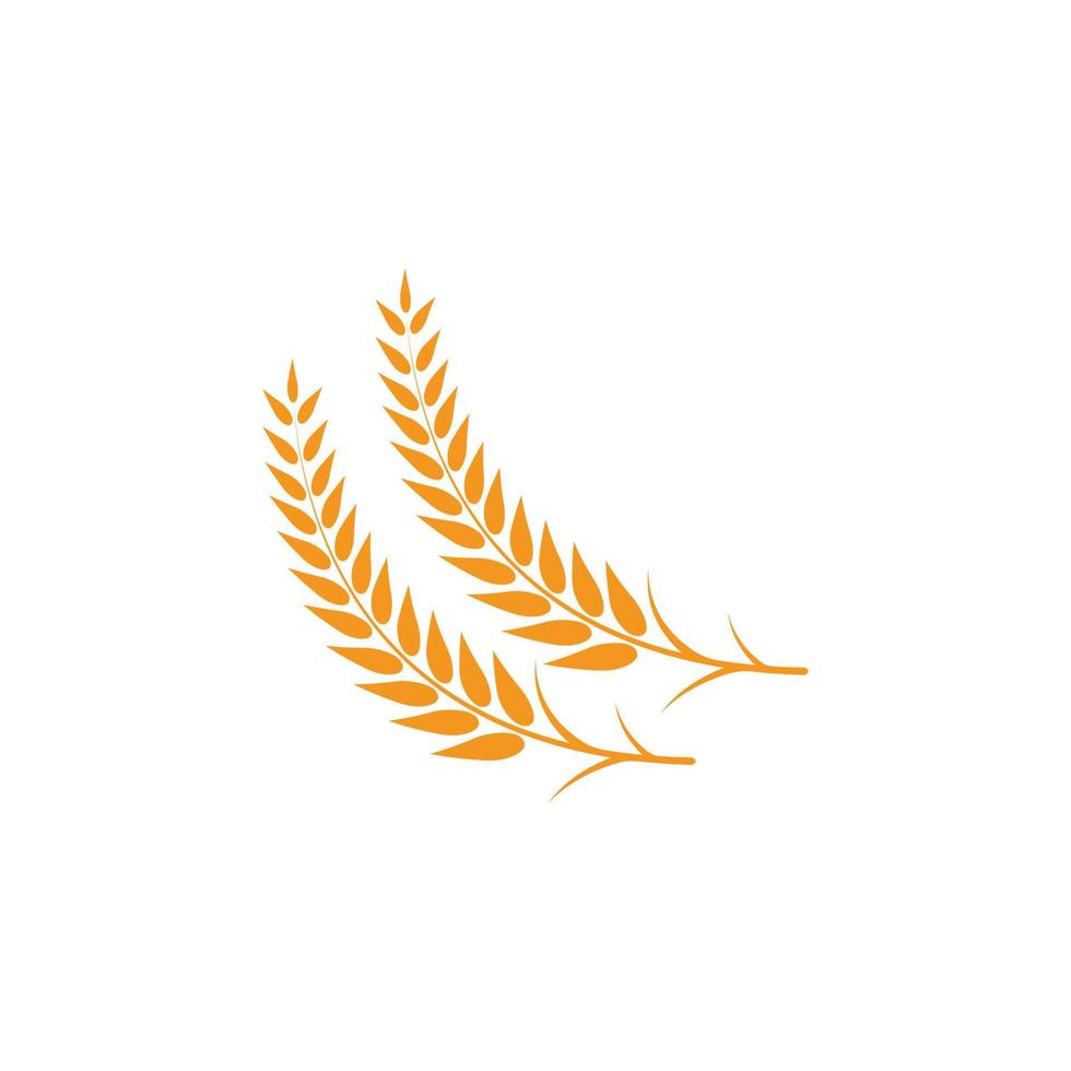 Wheat logo vector icon illustration
