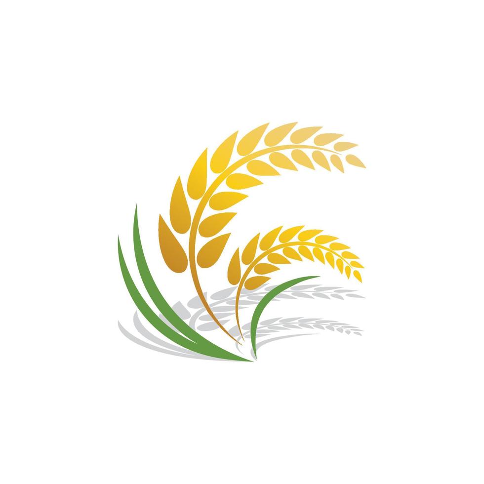 Wheat logo vector icon illustration