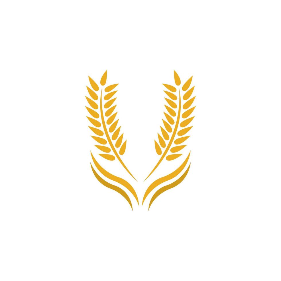 Wheat logo vector icon illustration