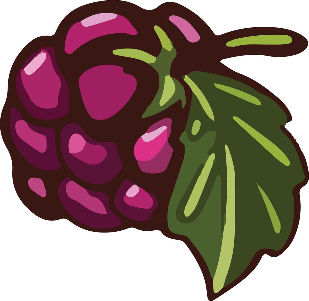 Berry purple blackberry. vector illustration Cartoon style.