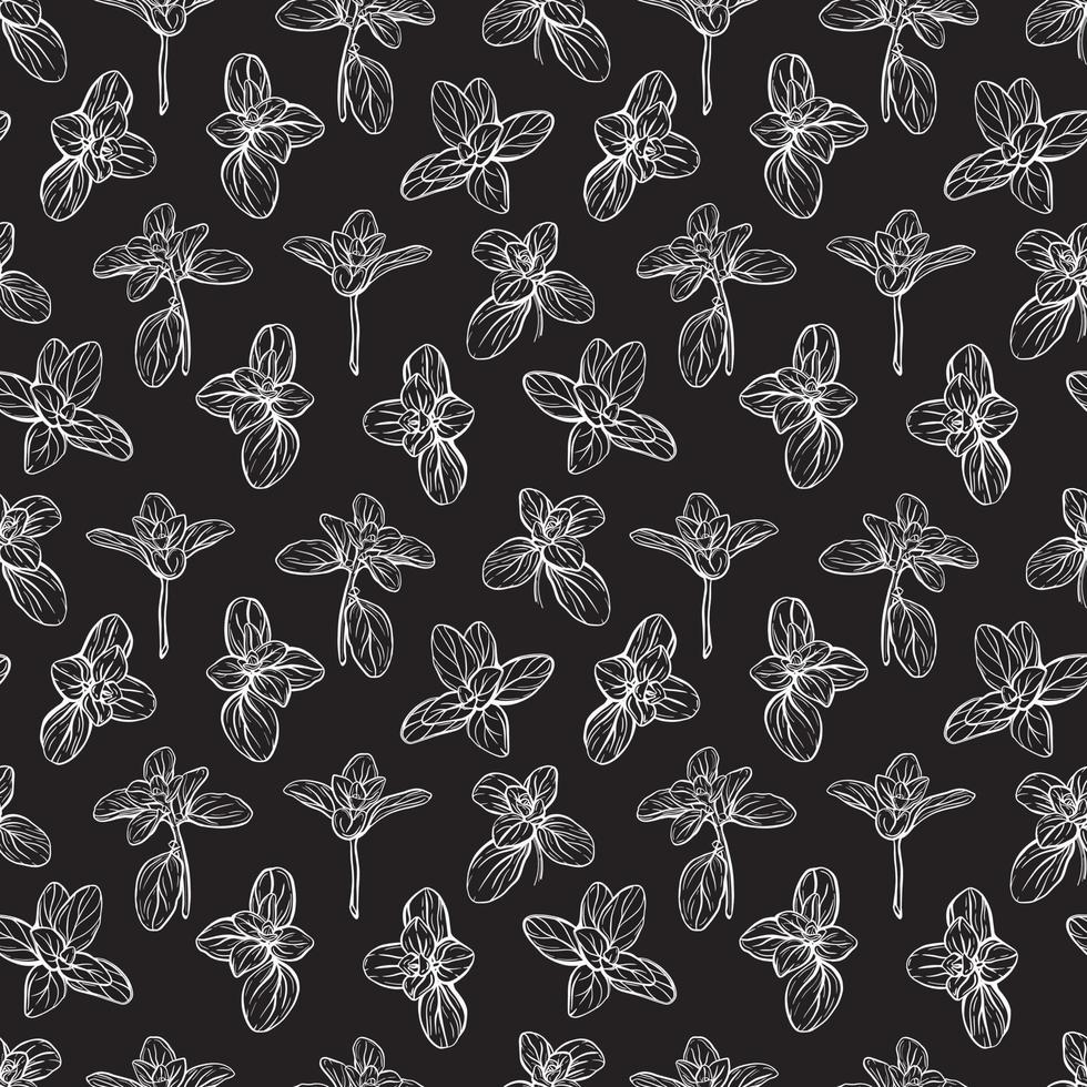 Basil Seamless Pattern. Italian herbs vector