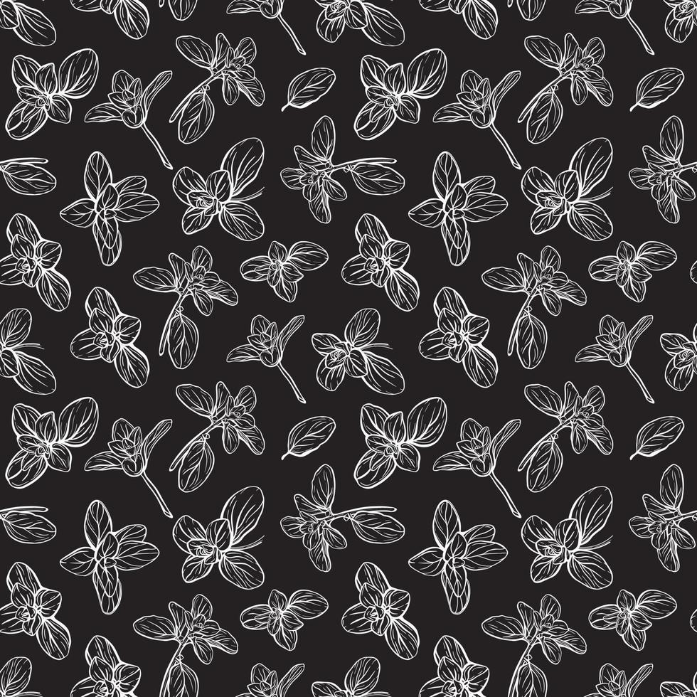 Basil Pattern. Italian herbs.A sprig of marjoram vector